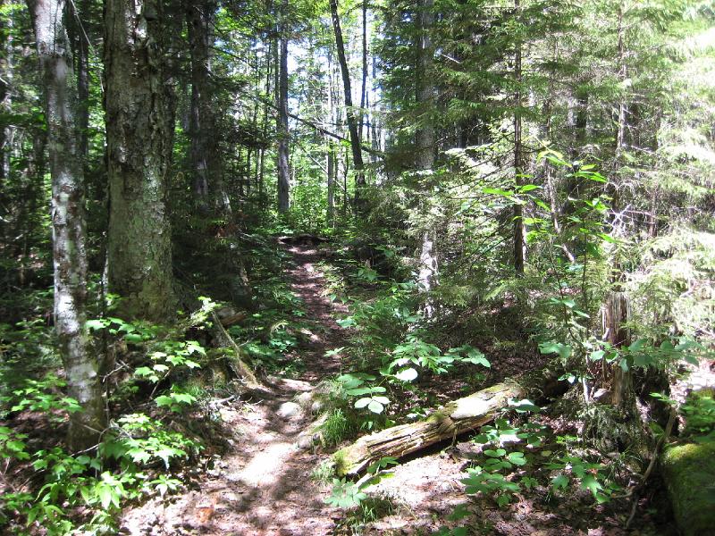PemiTraverse (17).JPG - Another view of the trail. Lucky for us a trail crew went by recently and cut back a lot of the brush.
